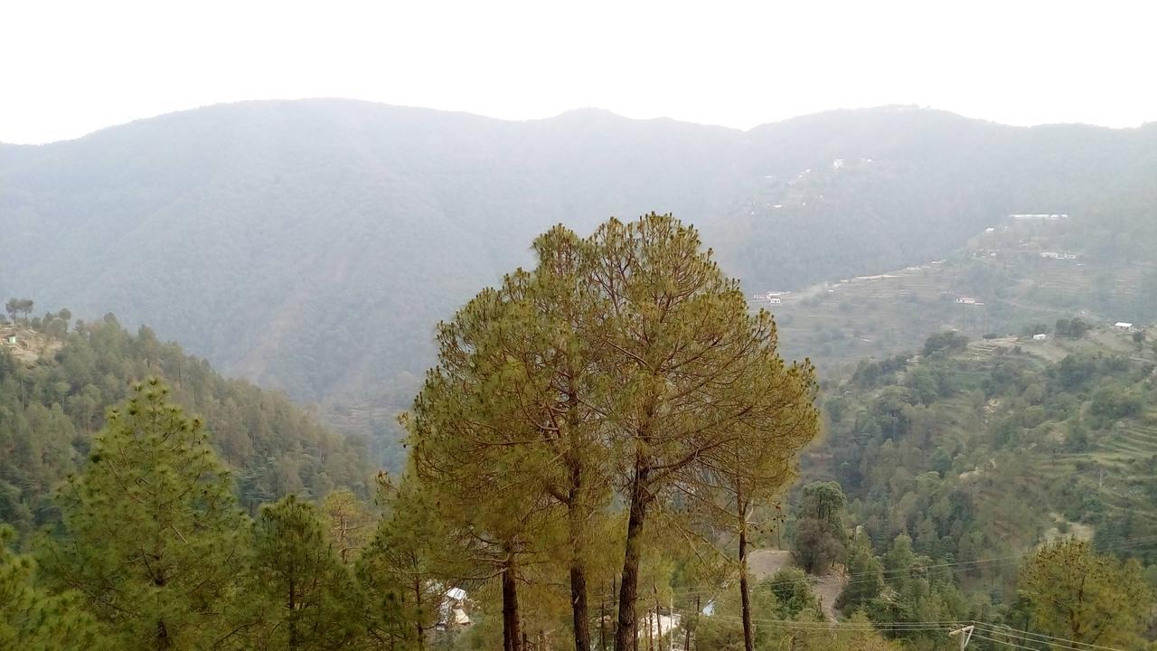 Hotel Emerald Valley Chail Exterior photo